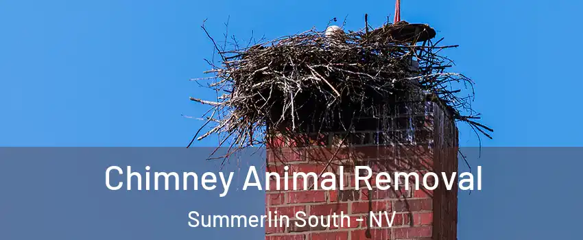 Chimney Animal Removal Summerlin South - NV
