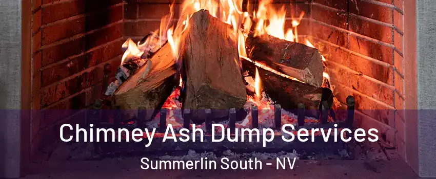  Chimney Ash Dump Services Summerlin South - NV