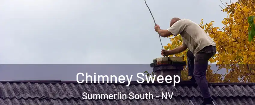  Chimney Sweep Summerlin South - NV