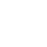 Professional Chimney Flue Installation in Summerlin South, Nevada