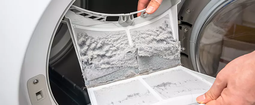 Best Dryer Lint Removal Company in Summerlin South, Nevada