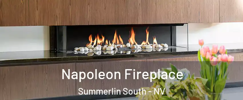  Napoleon Fireplace Summerlin South - NV